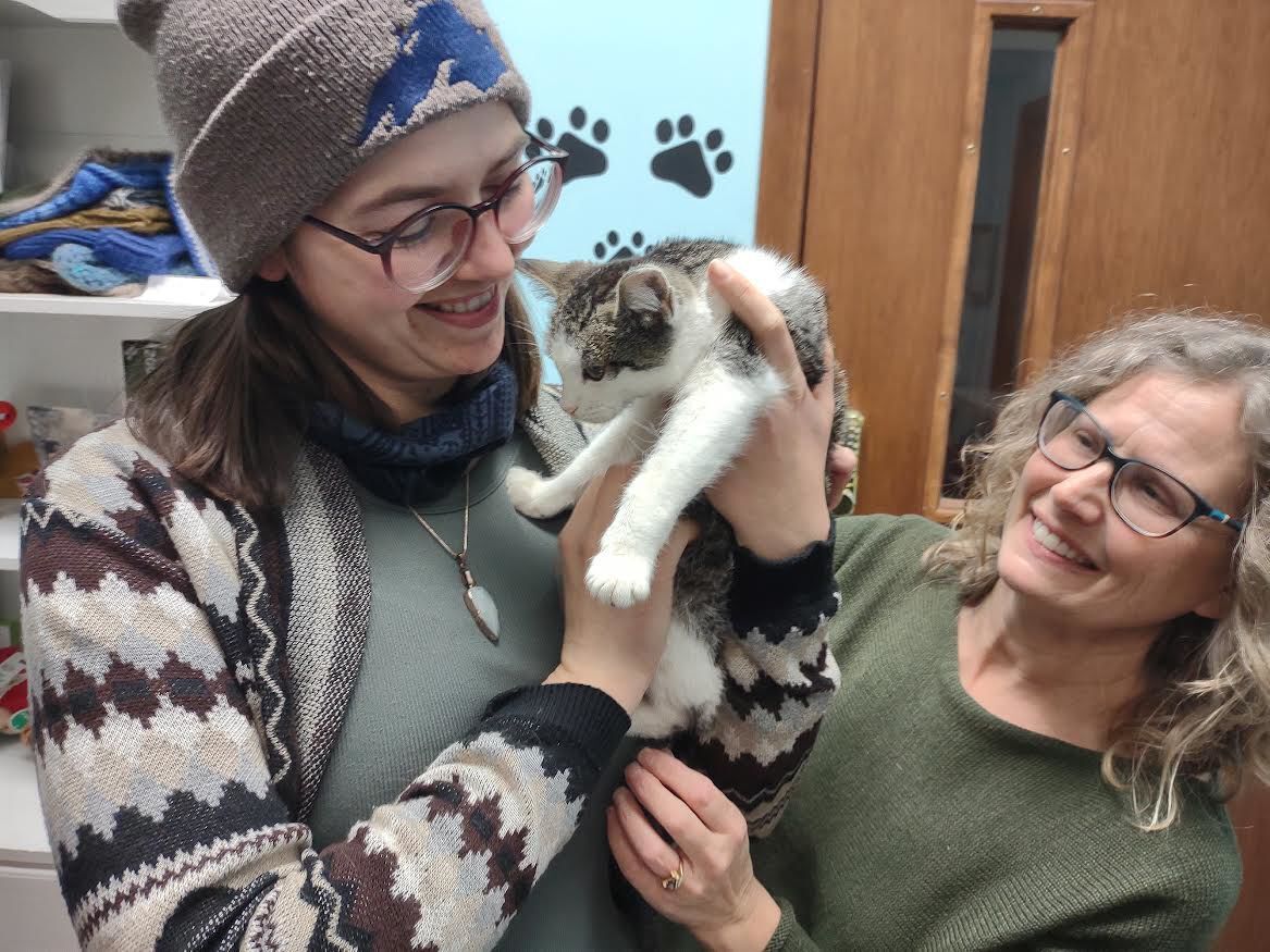 Kitten rescued from winter storm dubbed 'Snowflake'