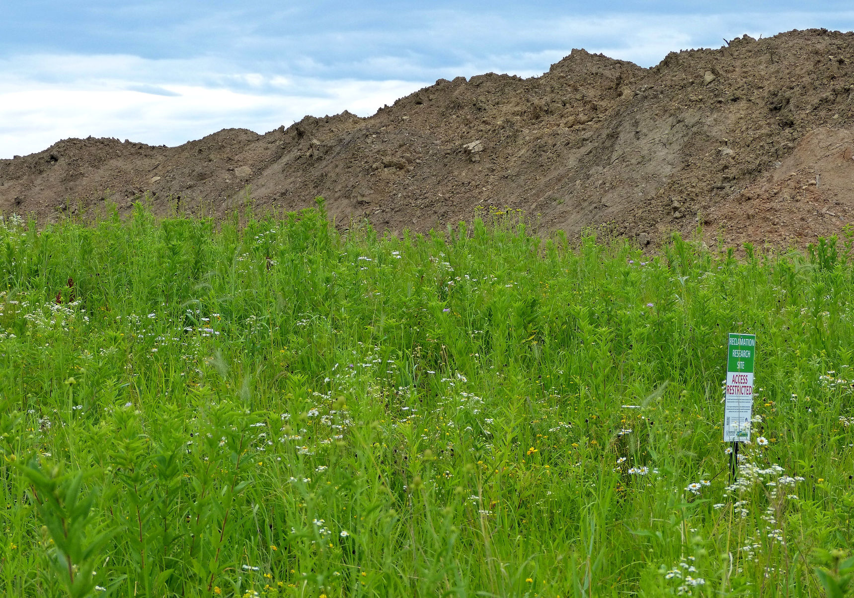 Research finds effectiveness with sand mine reclamation Country