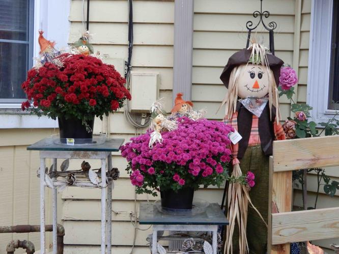 Freeport brings on the Halloween fright, as well News