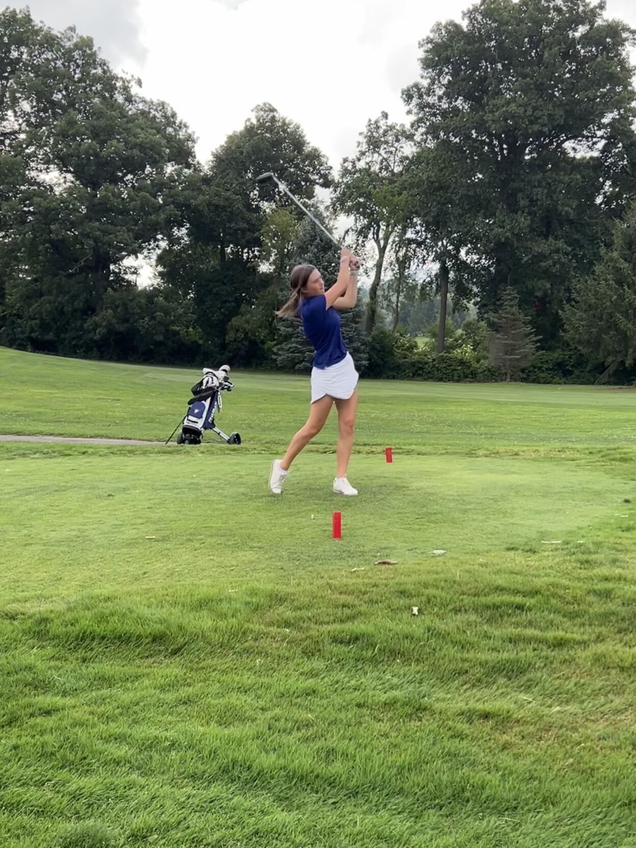 Area high school golf teams continue successful seasons on the links ...