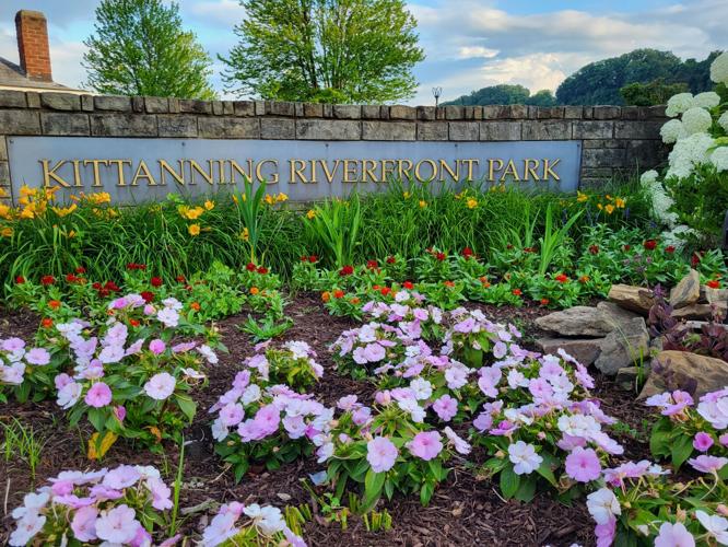 Summer scenes at Kittanning Riverfront Park News