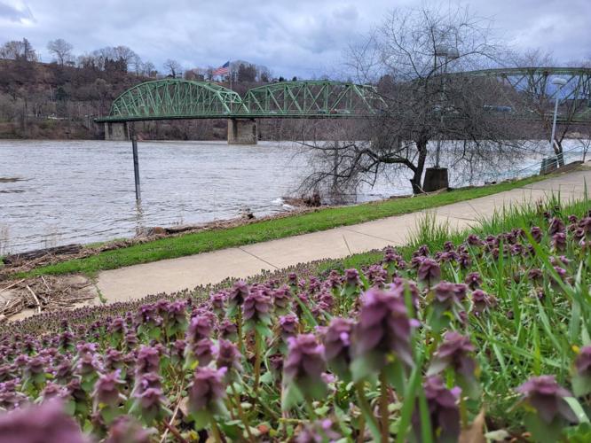 Kittanning Riverfront Park battered from the weather News