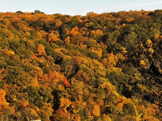 Beautiful Kittanning fall scene before the rains News