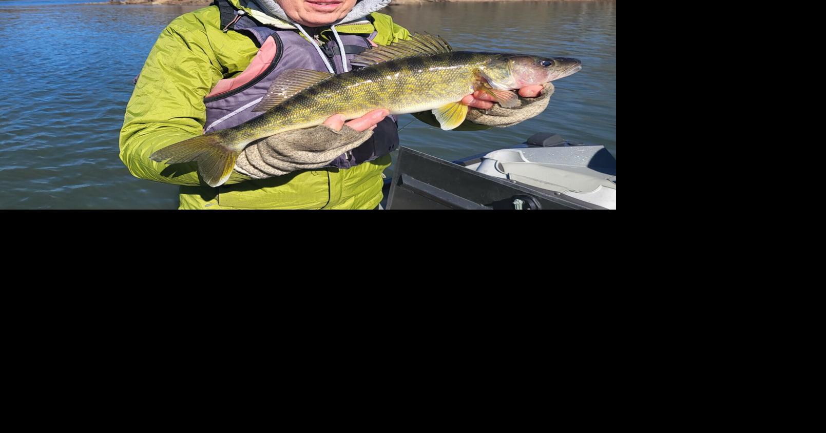 Classic jig-n-minnow combination lures walleyes | Sports | leadertimes.com