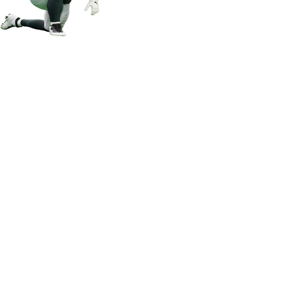 Steelers sign LB Nick Kwiatkoski, release WR Anthony Miller