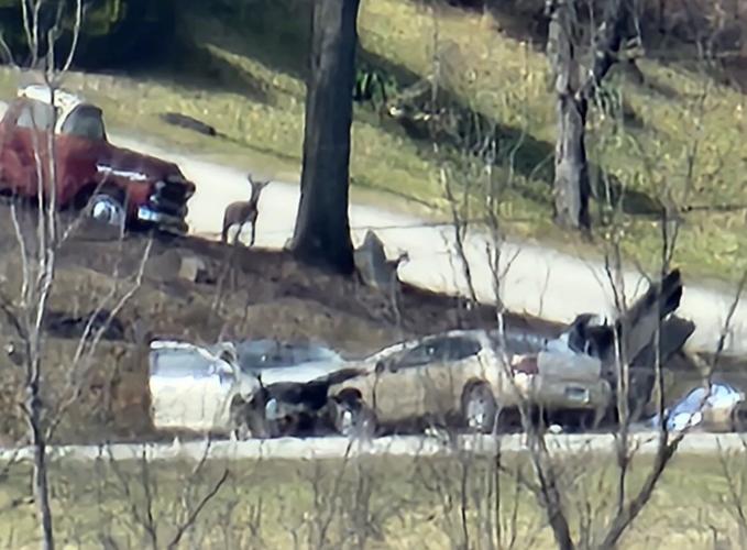 Two dead, one injured following accident in Plumcreek Township News