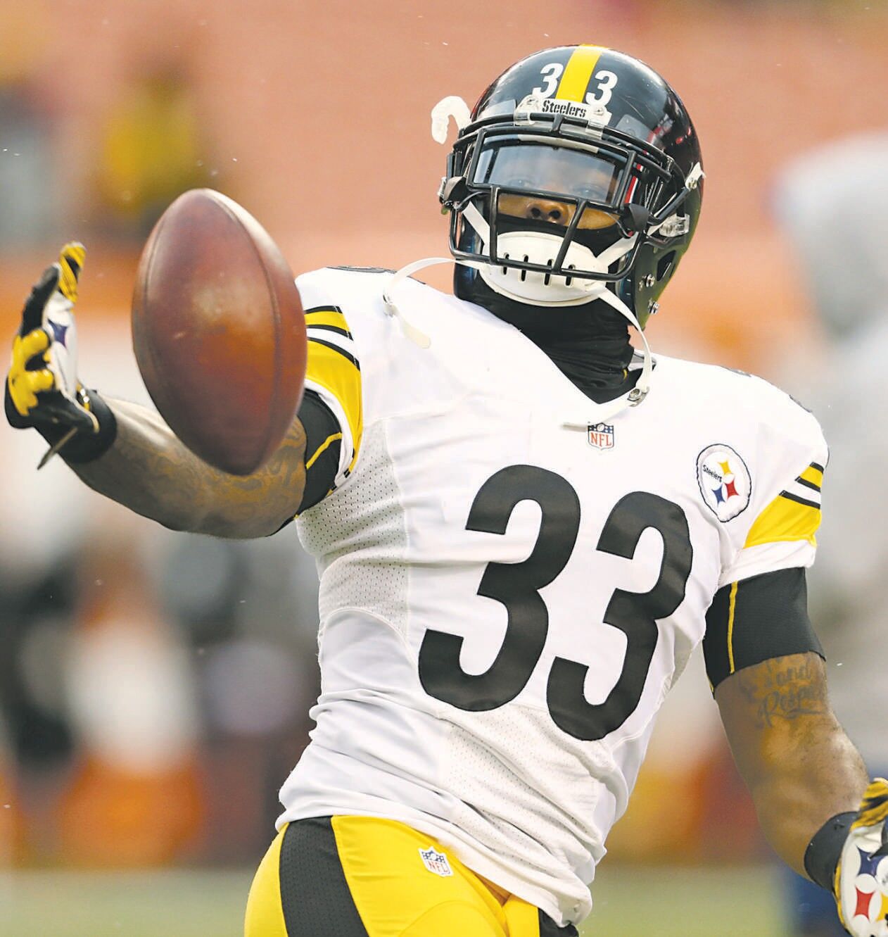 DeAngelo Williams Injury: Updates on Steelers RB's Ankle and