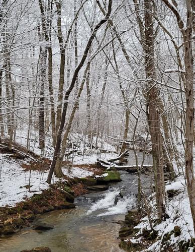 Snowy River