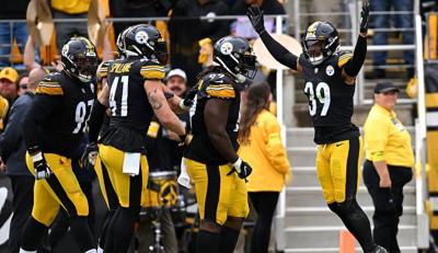 Pittsburgh Steelers free safety Minkah Fitzpatrick (39) celebrates