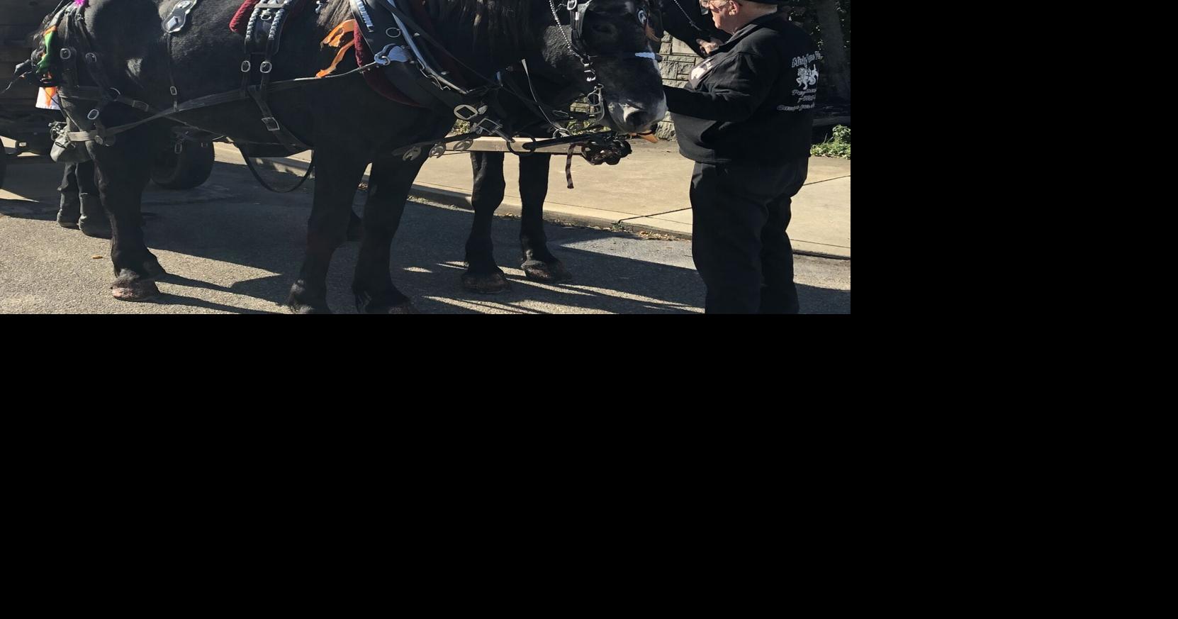 More moments marked from Kittanning’s First Annual Fall Festival News