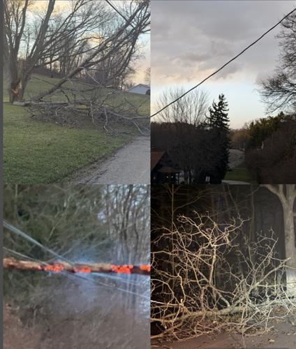 High winds of March mangle trees and down utility lines throughout ...