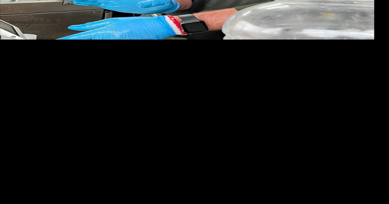 Gravy Griddle owners serve up ‘Awesome Taco Night’ News