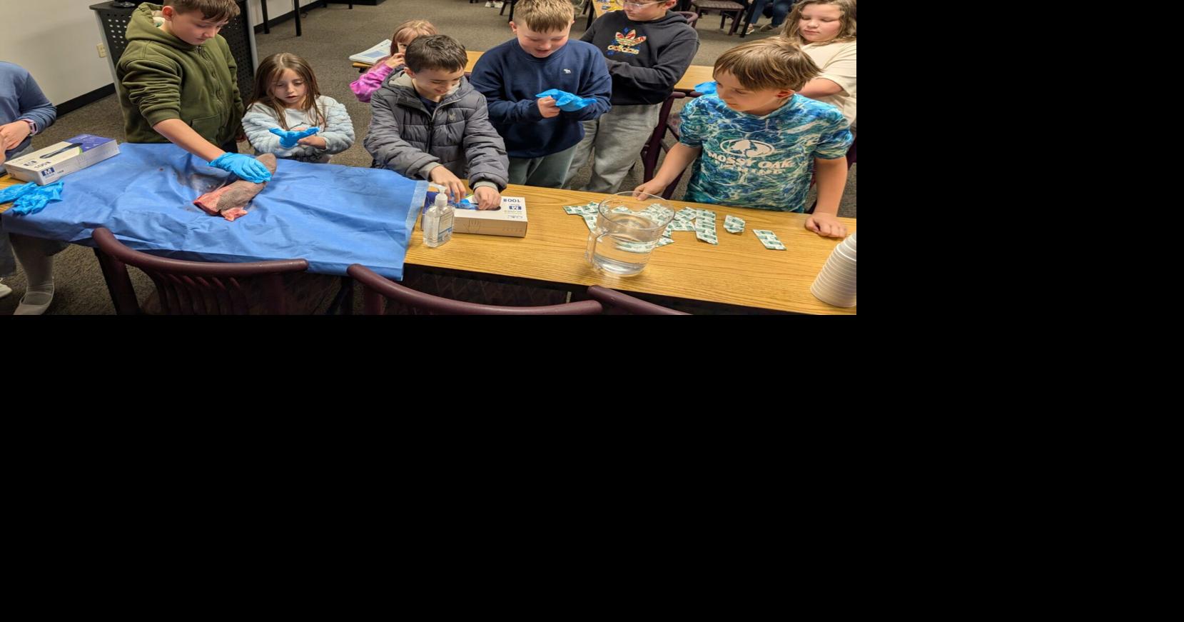 ACMH A.I.D. program investigates the digestive system