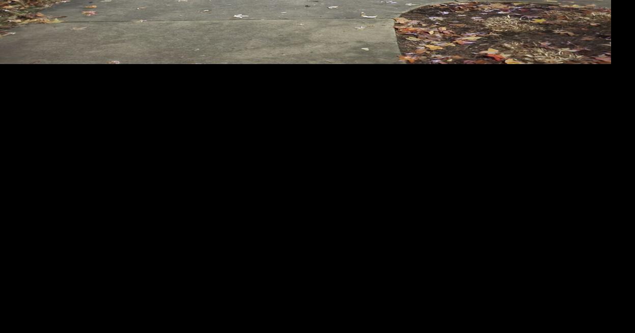 Looking back on the Festival of Trees in Kittanning News