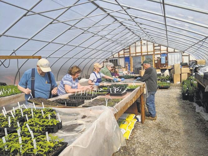 Annual Penn State Extension Master Gardeners’ plant sale to return May