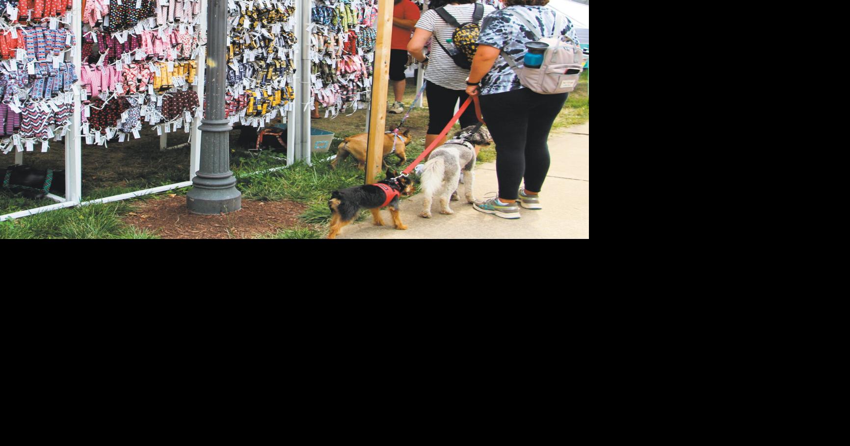 MORE FORT ARMSTRONG FOLK FESTIVAL MOMENTS Frontpage