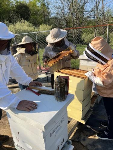 Beekeepers of ABCI to host beginning beekeeper classes | News ...