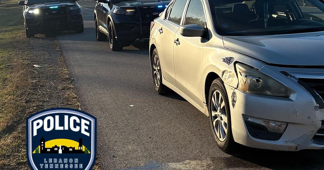 LPD arrest man with multiple warrants on Hwy 109