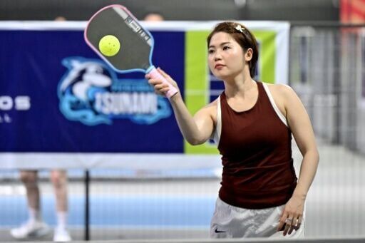 Most noise complaints on the capital's iHanoi app stem from pickleball, according to state media