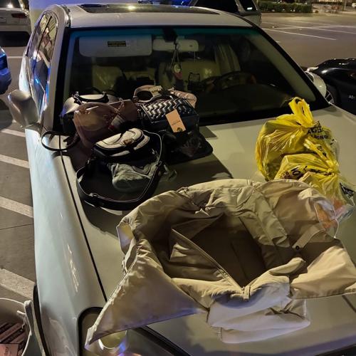 Patricia Rutledge evidence 2