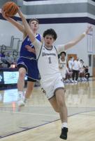 Purple Tigers take defensive slugfest with Livingston