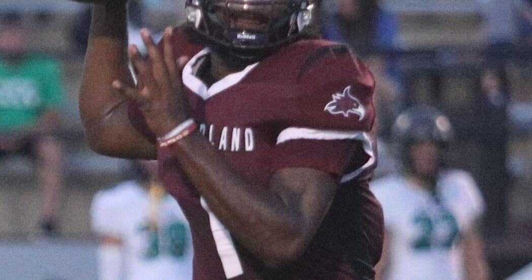 Phoenix face Lions in south Florida