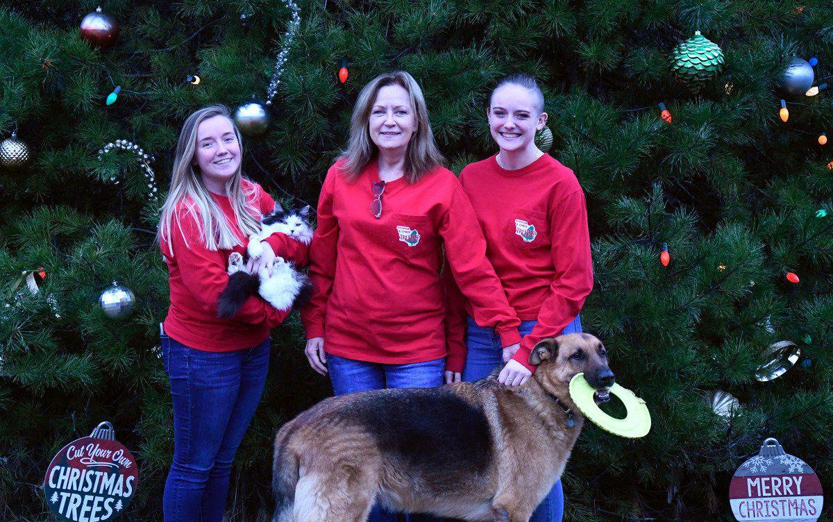 Christmas Tree Farms Offer Hundreds Of Homegrown Options News Lebanondemocrat Com