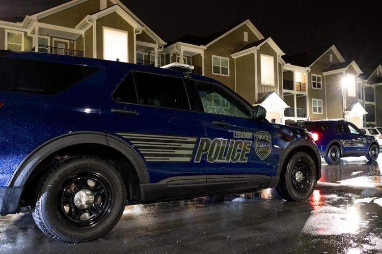 LPD Ironwood.jpg