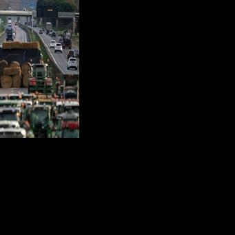 French minister urges angry farmers to trust cow culls, vaccines