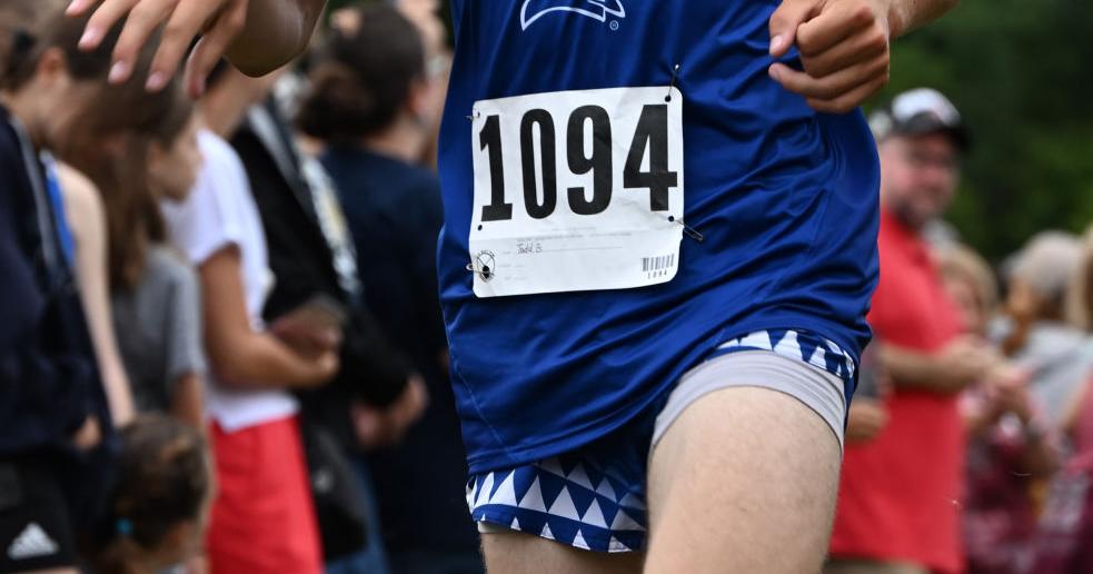 Lebanon runners turn in PRs at Voyles Classic Sports