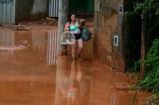 Cities in the state of Minas Gerais are on high alert as fresh rain falls, and thousands were forced to flee their homes, leaving behind their beloved pets