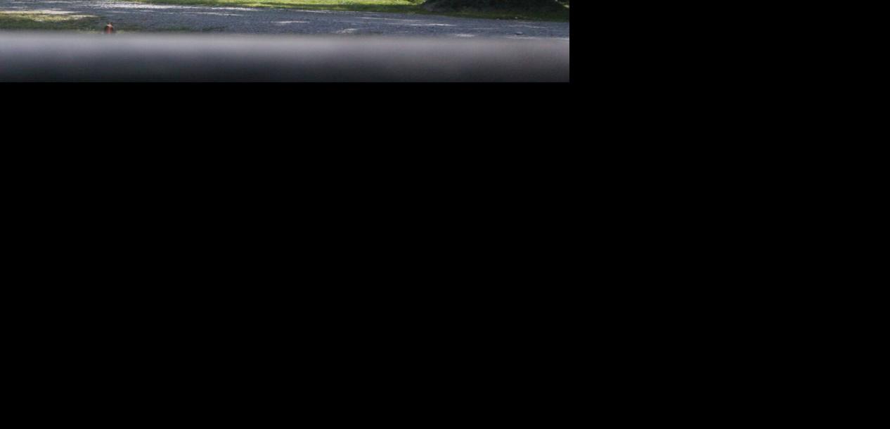 AMBER Alert photo1