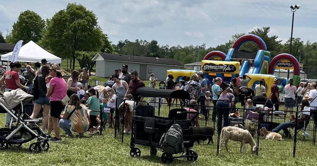 Hartsville Spring Fest draws record crowd - Vimarsana News