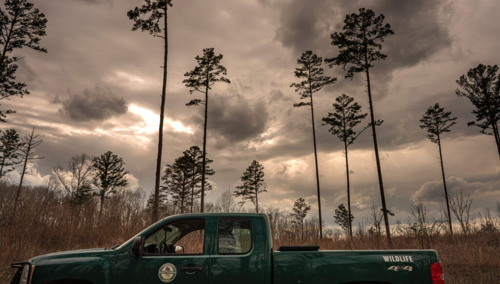 Wildlife Watch: A day in the life of a Vermont game warden 