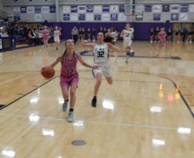 Lady Panthers Stun Mt Juliet Sports Lebanondemocrat Com