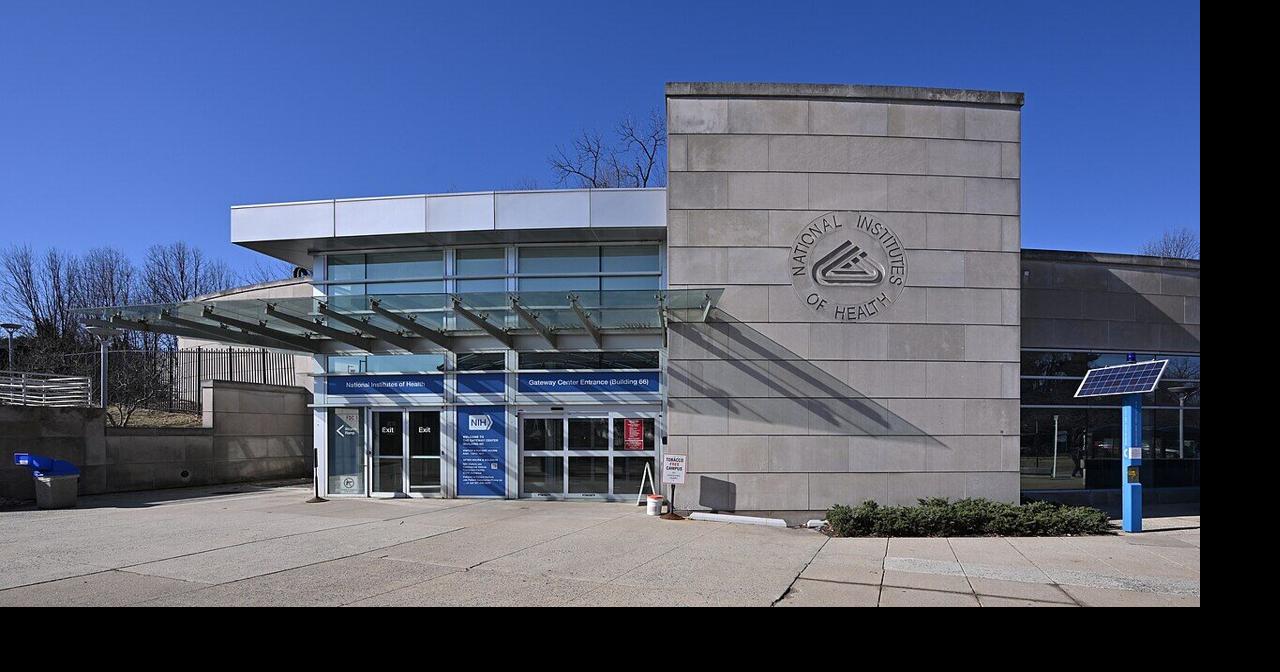 Researchers sue NIH for cutting grants for left-wing public health research goals