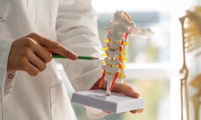 SpinalCord.jpg