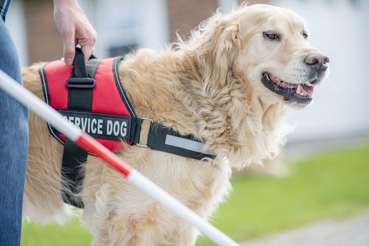 Class action targets invalid support animal documentation