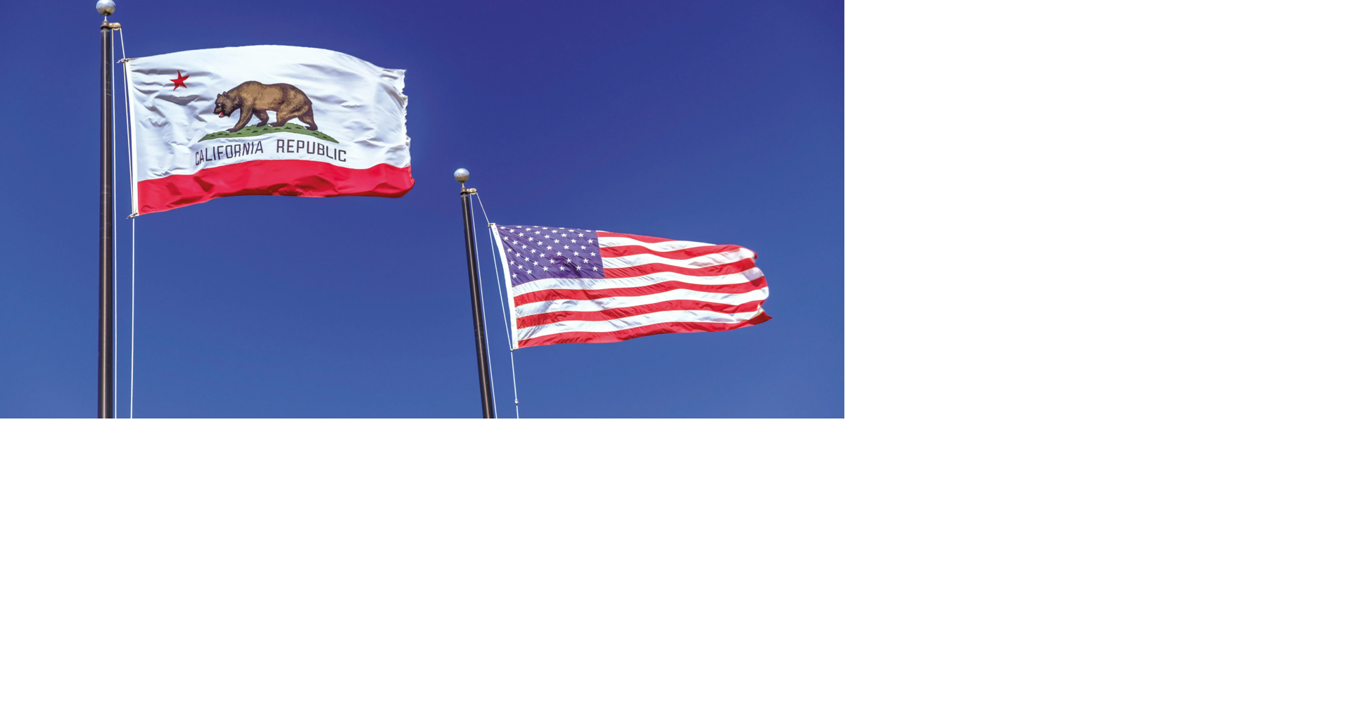 LA, CA fed courts busiest in US for employment lawsuits: Report