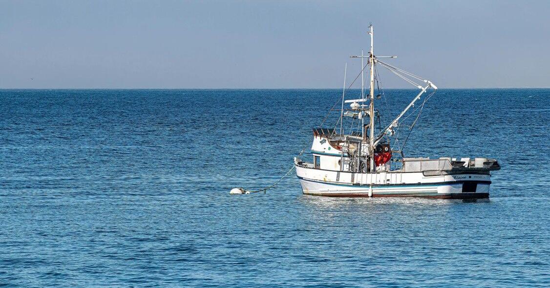 No fish story: Diner can sue over fake ‘local seafood’