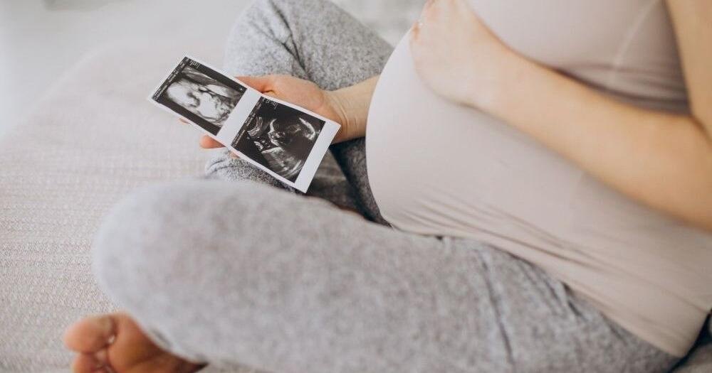 Florida woman accuses employer of pregnancy harassment