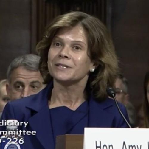 Amy J. St. Eve