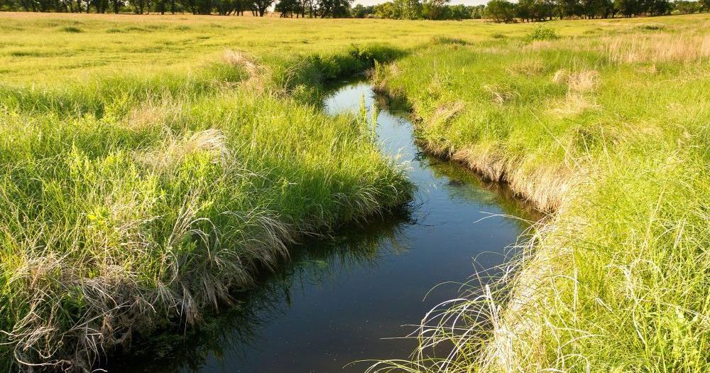 W.Va. leads brief defending Conn. farmer facing $2M in fines