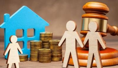 Property Rights - 1