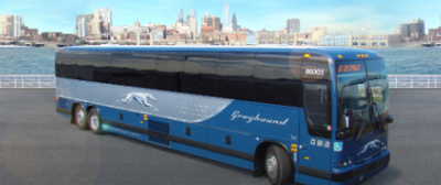 greyhound.png