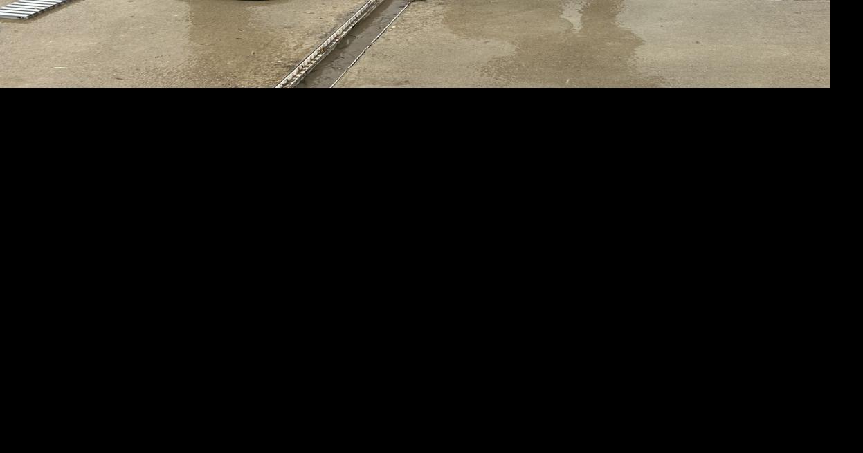 Summer swim season is almost here | News | lewistownnews.com