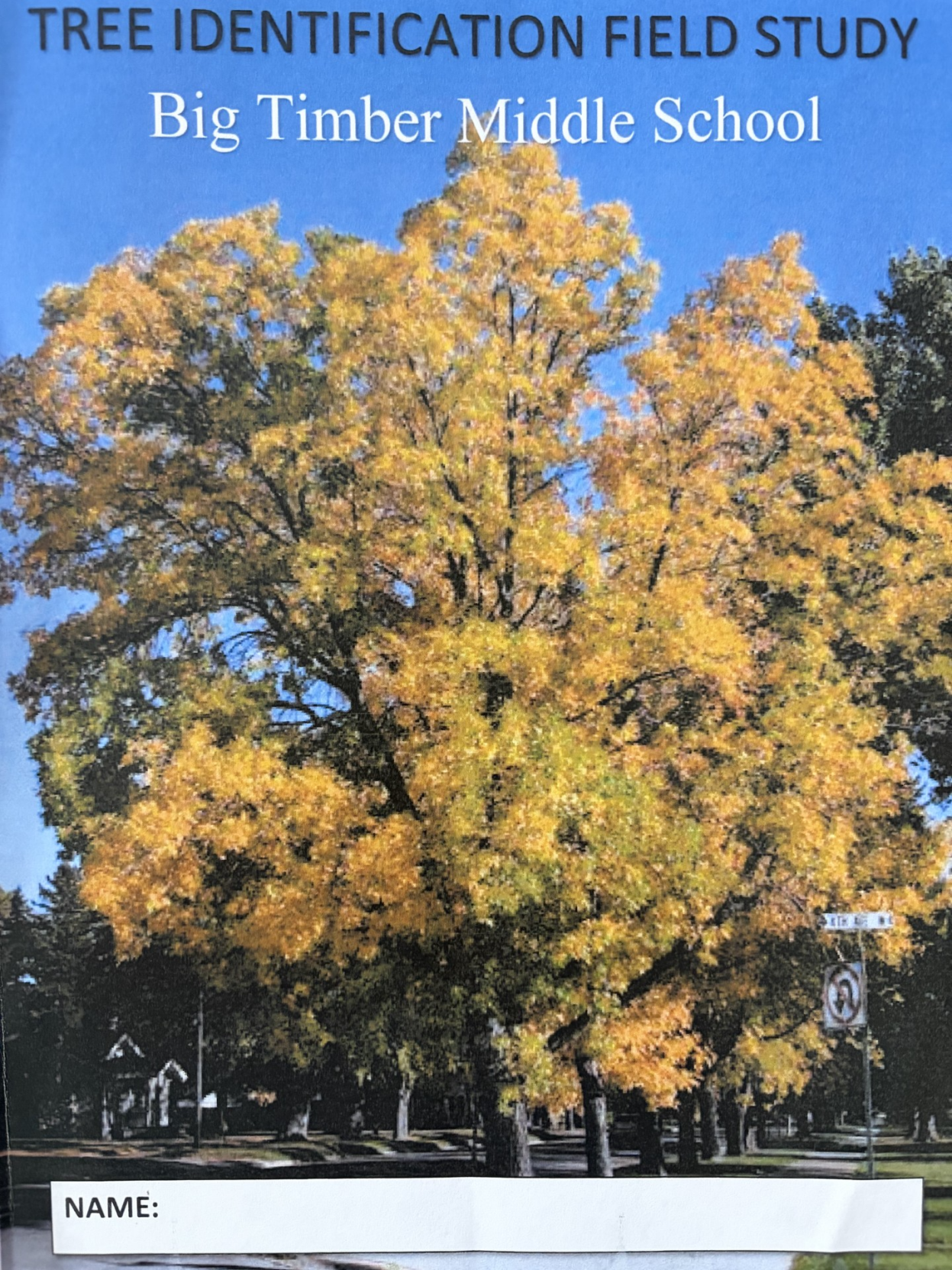 Tree appreciation 101 for Big Timber 6th graders | | lewistownnews.com
