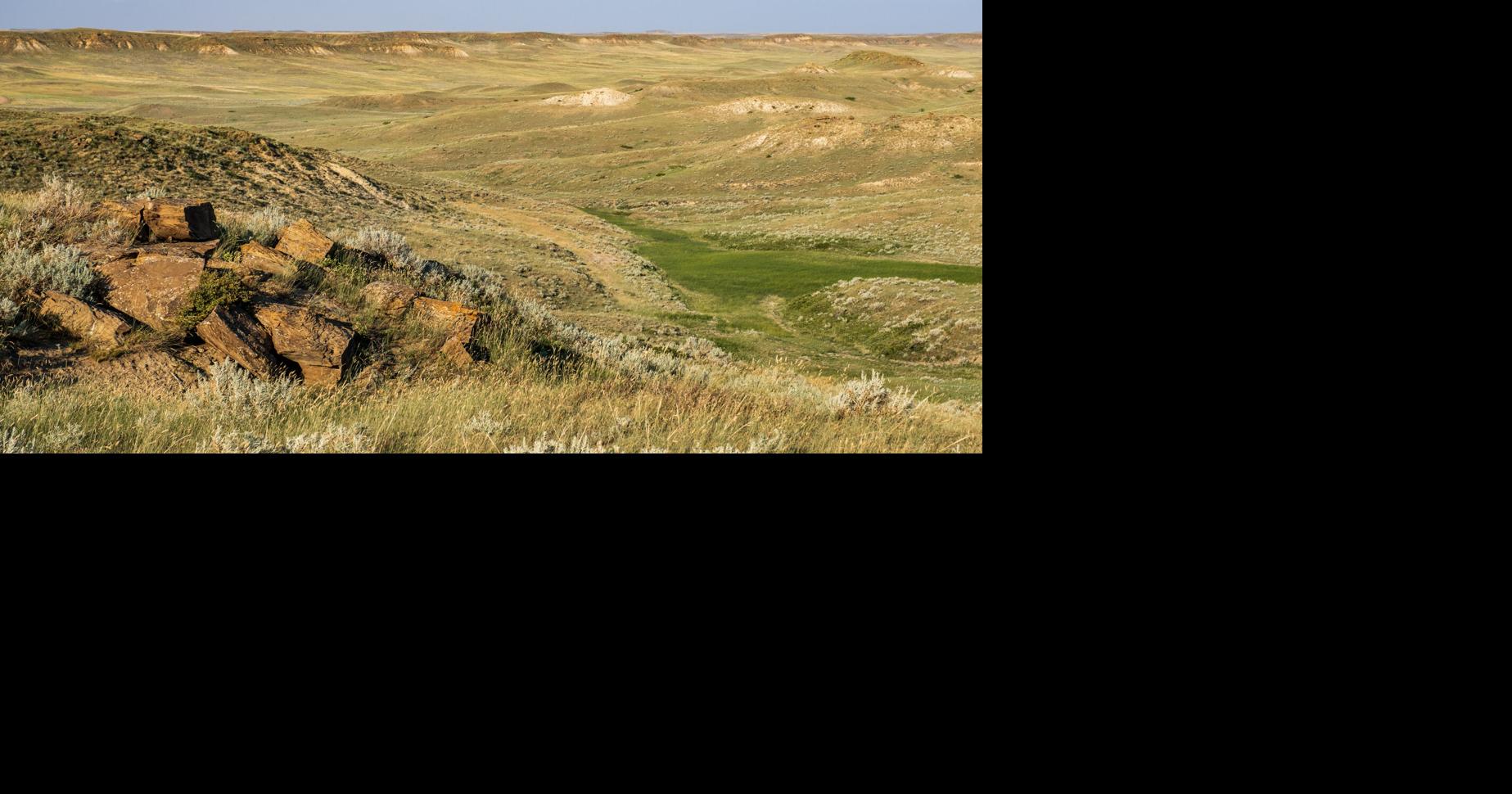 BLM allocates 27 million for landscape restoration in Montana News