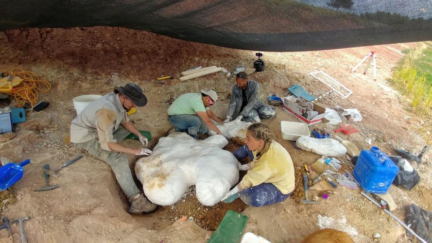 Lewistown area resident helps excavate dinosaur in own backyard News
