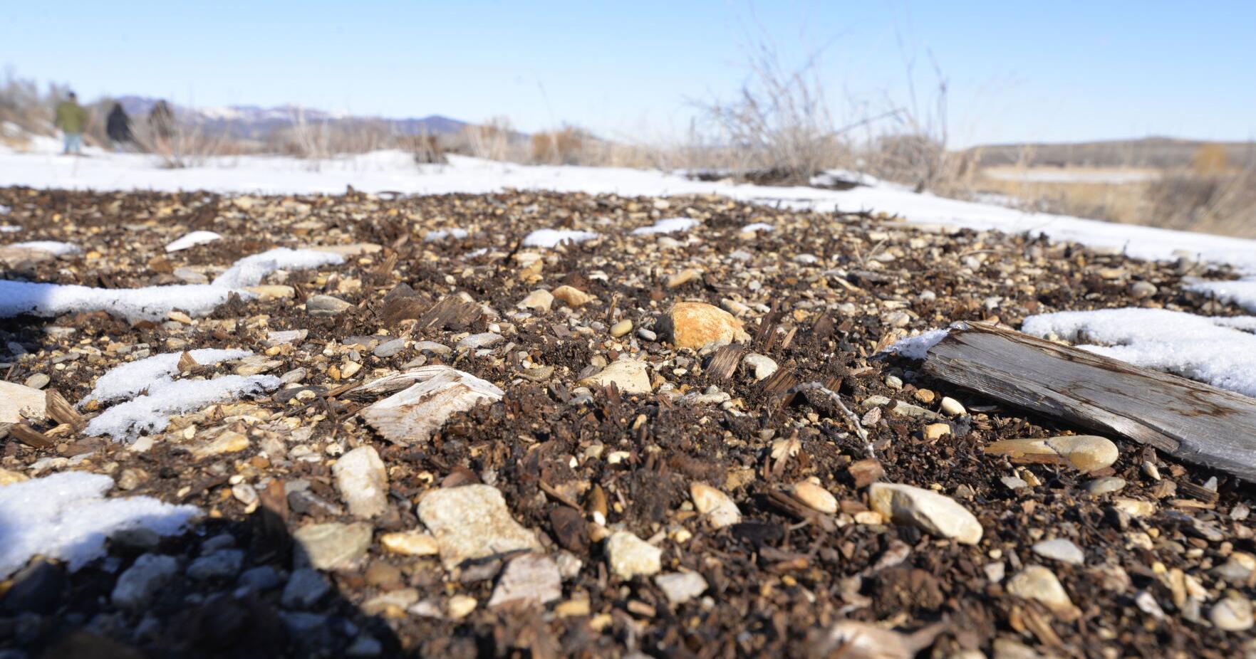 Developer's plans for Berg Lumber site dumped for now - Vimarsana News